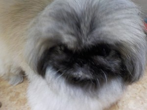 DSCN0672