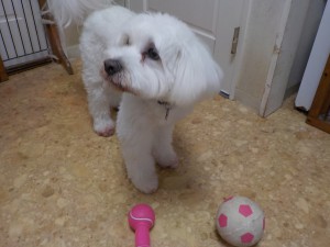 DSCN0295