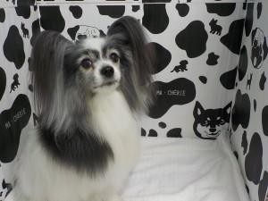 DSCN4145