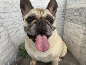 IMG_0301