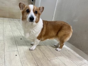 IMG_3404